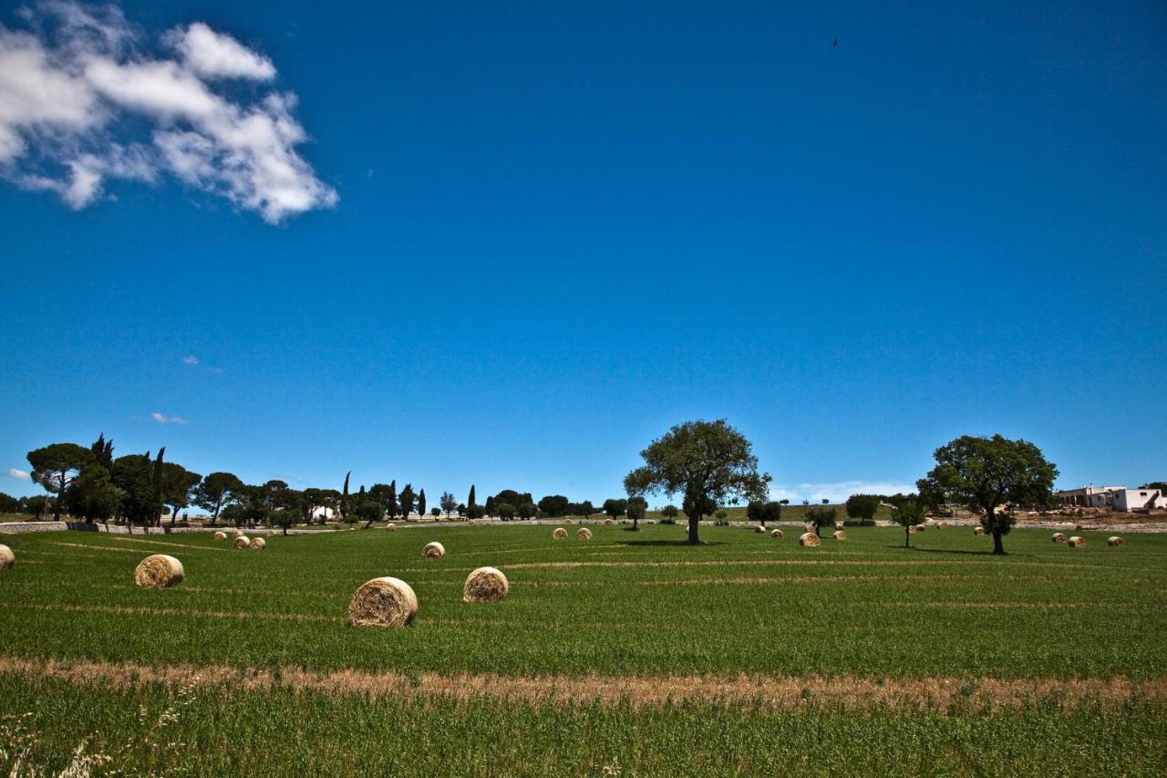 La Terrazza Di Puglia Leilighet Conversano Eksteriør bilde