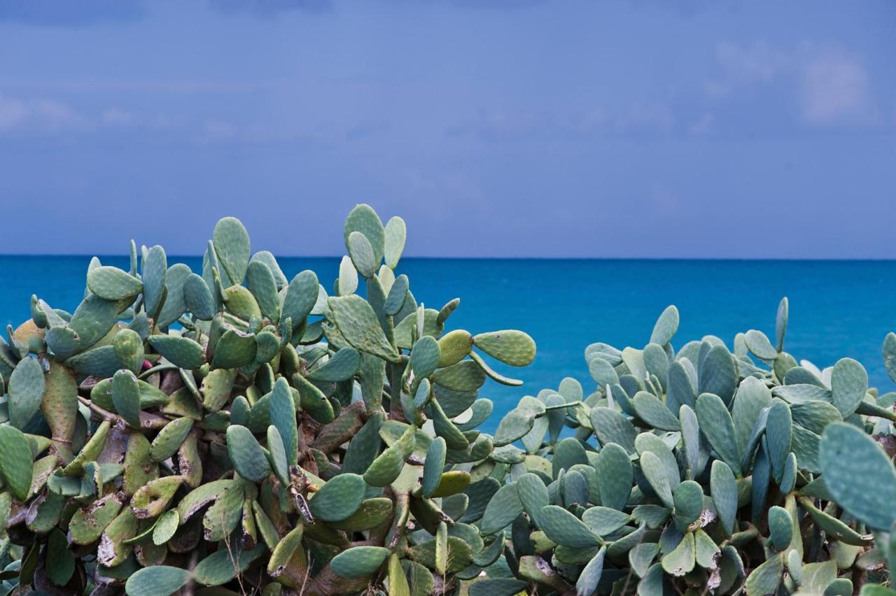 La Terrazza Di Puglia Leilighet Conversano Eksteriør bilde
